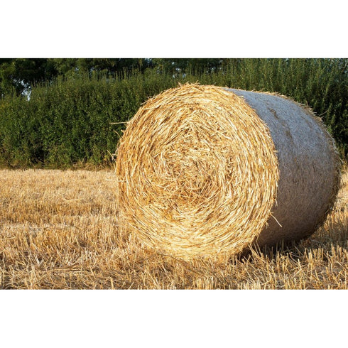 Straw Round Bale