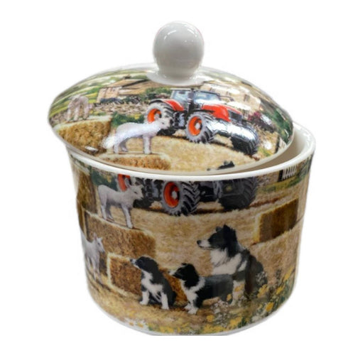 COLLIE AND SHEEP SUGAR BOWL 2024 95920