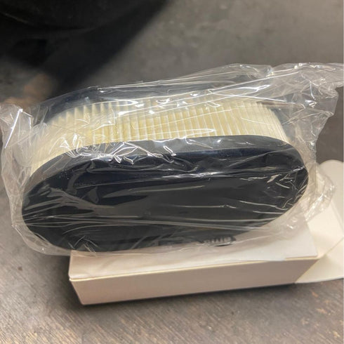 BRIGGS & STRATON AIR FILTER AD1798452(593260)