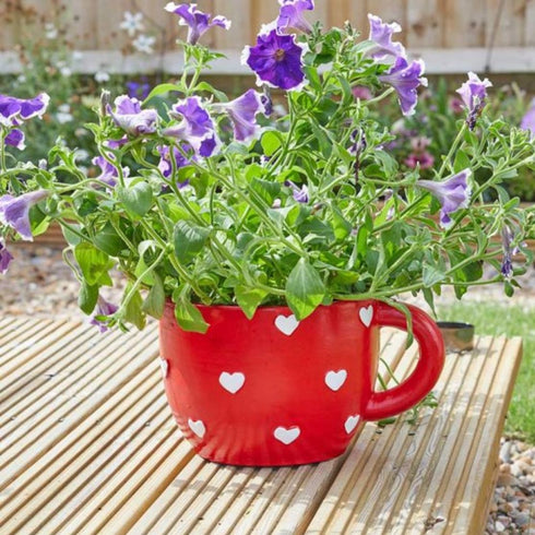 TEACUP HEART PLANTER