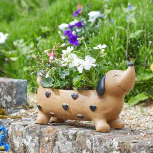 POOCH PLANTER