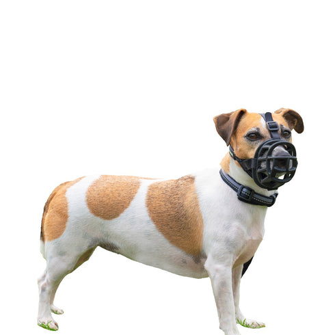 BASKERVILLE ULTRA MUZZLE SIZE 2