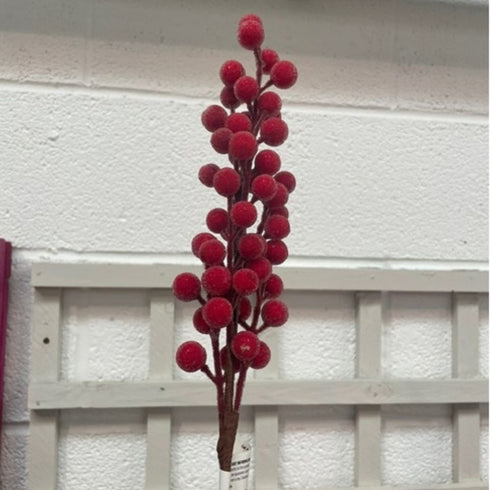 50cm Frosted Berry Pick