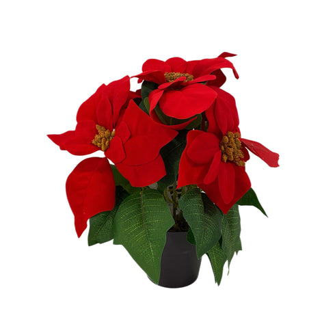 27cm Red Potted Poinsettia in CDU