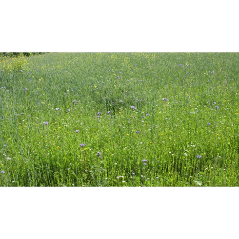 18.3KG WILD BIRD COVER ACRES (PHACELIA,RADISH,OATS,MUSTARD)