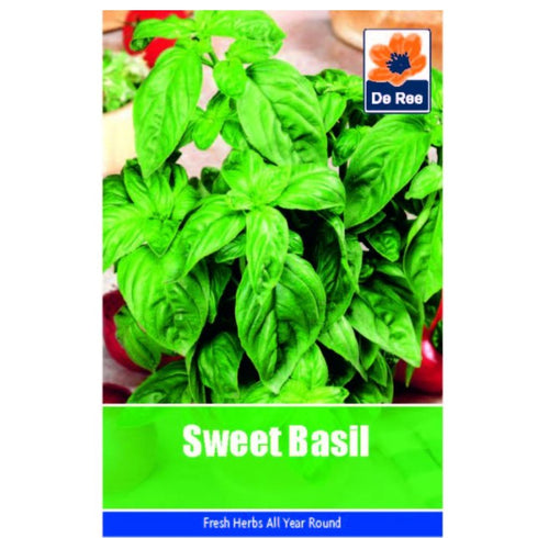 Basil