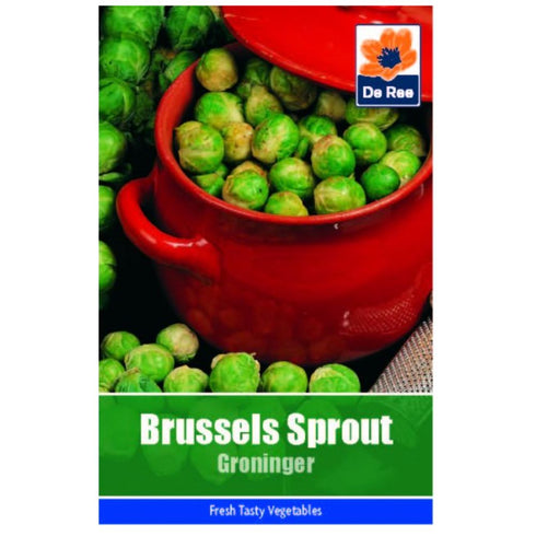 Brussel Sprout Groninger