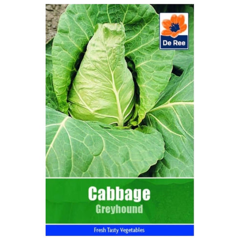 Cabbage Greyhound