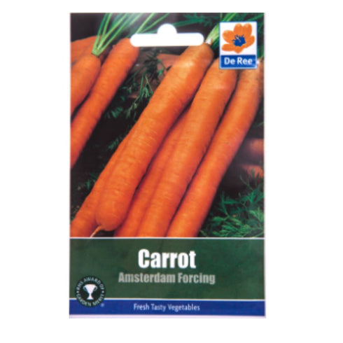 Carrot Amsterdam Forcing
