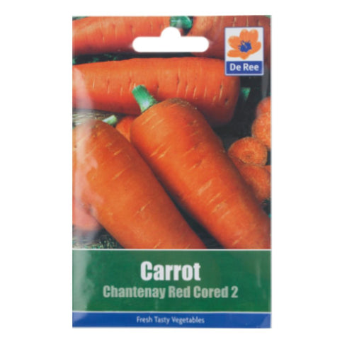 Carrot Chantenay Red Cored 2