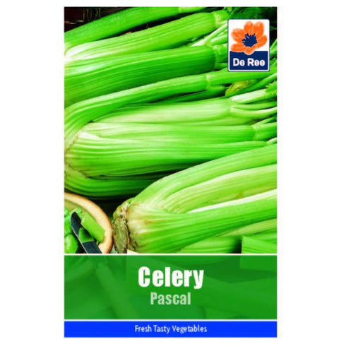 Celery Pascal