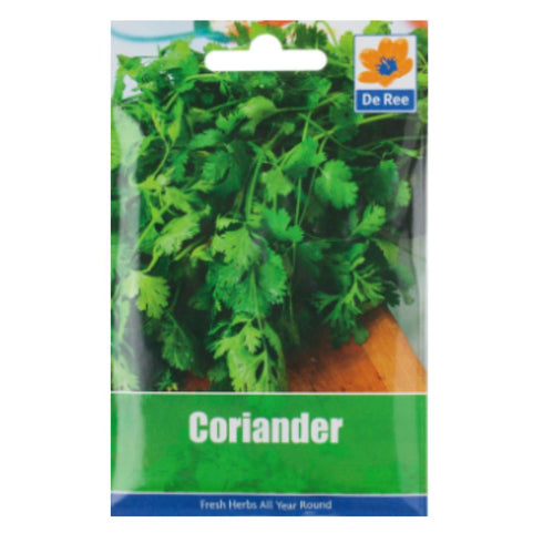 Coriander