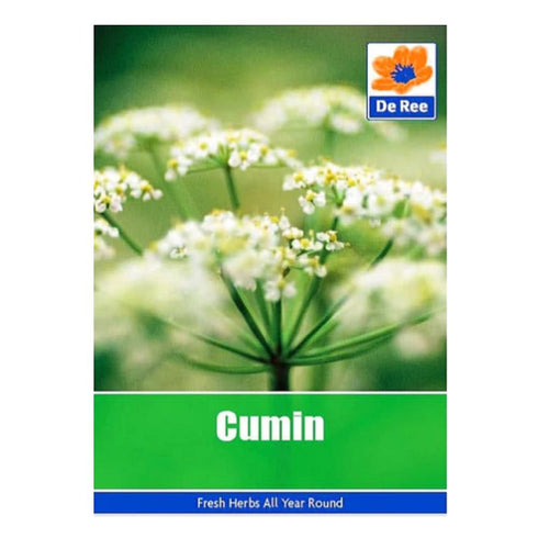 Cumin