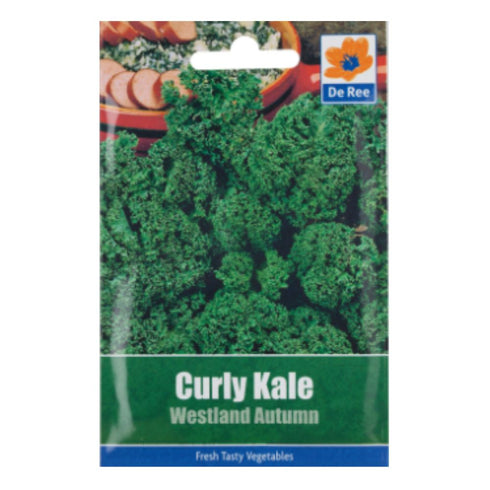 Curly Kale Westland Autumn