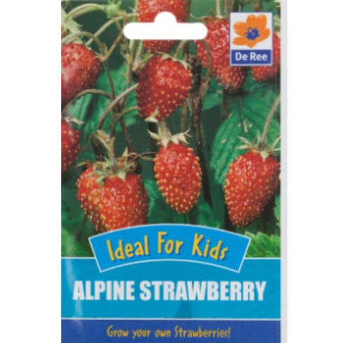 Kids Alpine Strawberry
