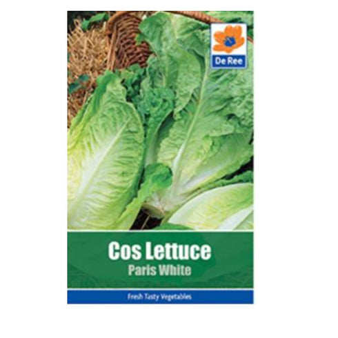 Lettuce Cos Paris White