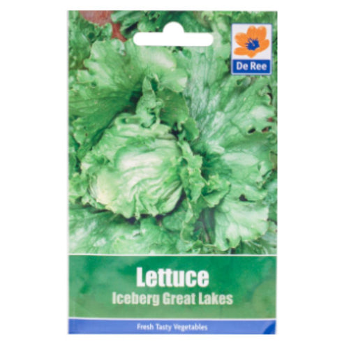 Lettuce Iceberg Great Lakes