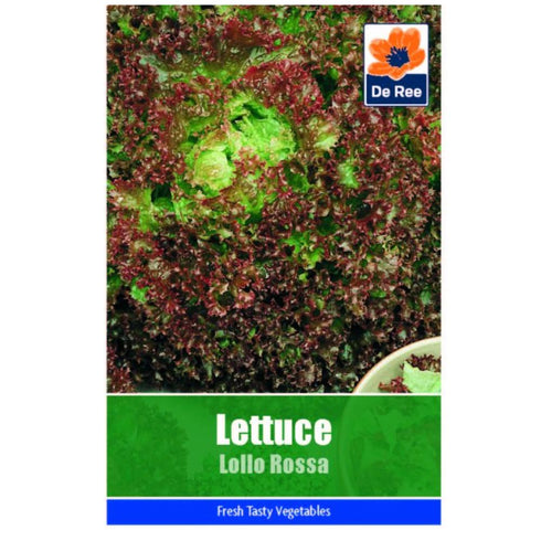 Lettuce Lollo Rossa