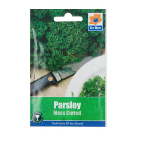 Parsley Moss Curled 2