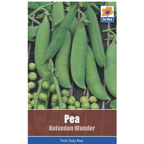 Pea Kelvedon Wonder