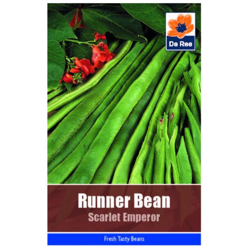 Runner Bean Scarlet Emperor