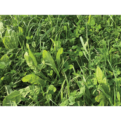 12kg / 1 Acre Simple Herbal Ley