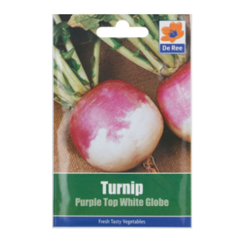 Turnip Purple Top White Globe