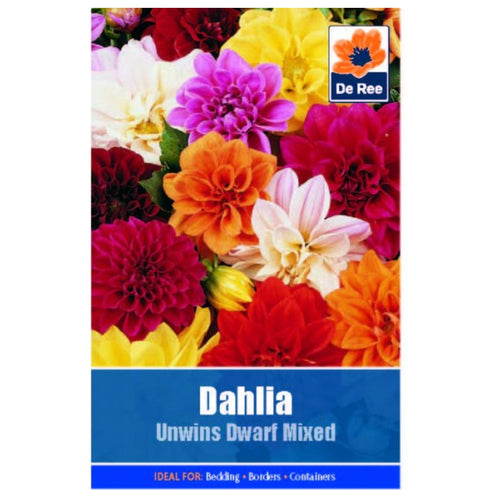 Dahlia Unwins