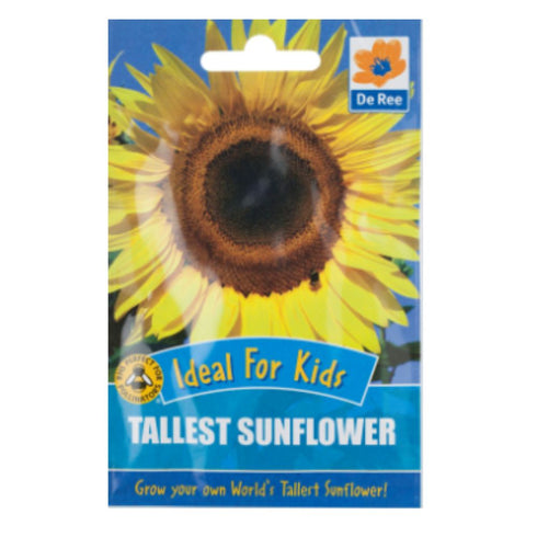 Kids - Tallest Sunflower