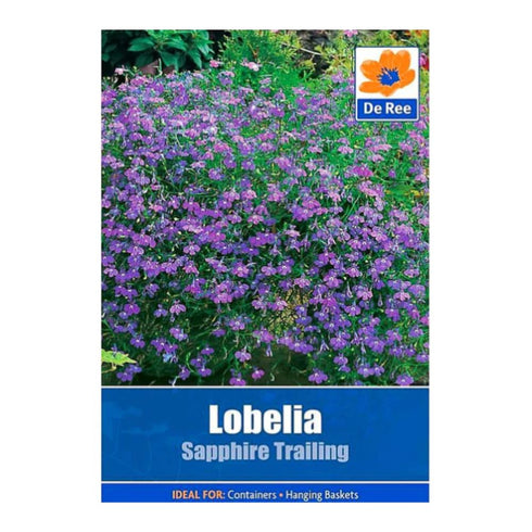 Lobelia Sapphire
