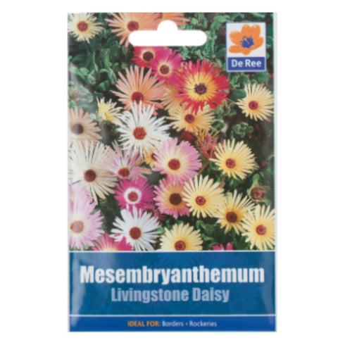 Mesembryanthemum