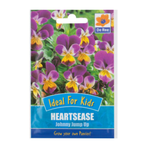 Pansy Winter Flowering