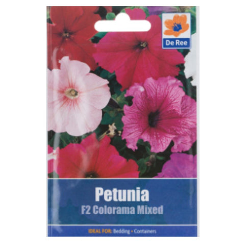 Petunia F2 Colorama Mixed