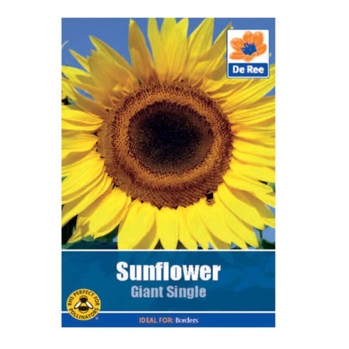 Sunflower Giant Single