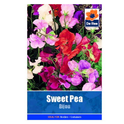 Sweet Pea Bijou