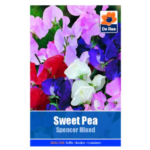 Sweet Pea Spencer Mixed