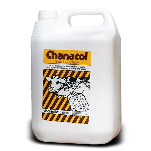 1Lt Chanatol(Twin Lamb, Sway Back,Glucose Defic.