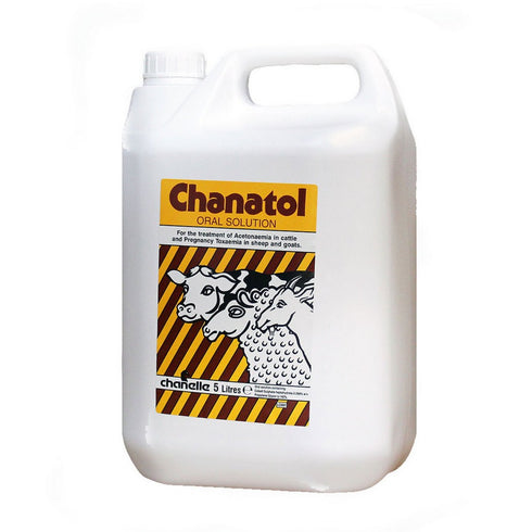 5LT Chanatol (twin Lamb /Sway back/Glucose Defic