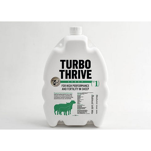 1lt Turbo Sheep (fertility+thrive)