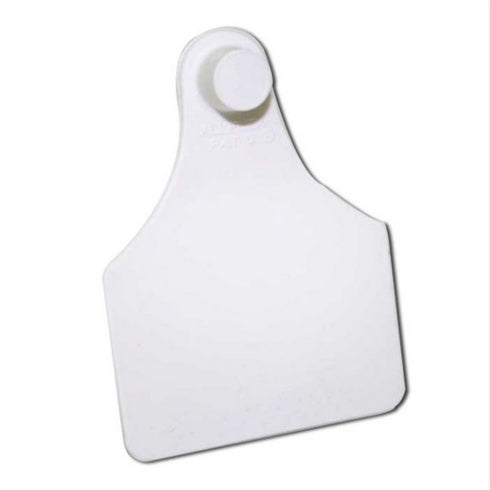 OVINA FEMALE BLANK WHITE