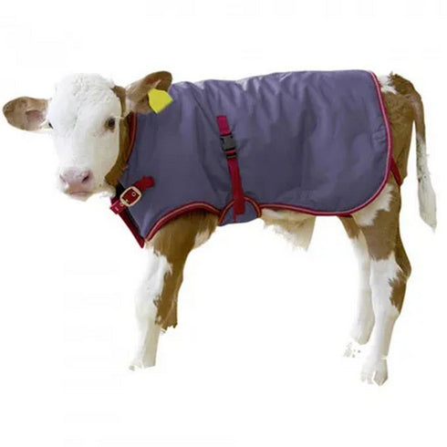 Calf Coat Thermo Plus 70cm (CTL00786)