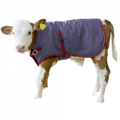 Calf Coat Thermo Plus 80cm (CTL00787)