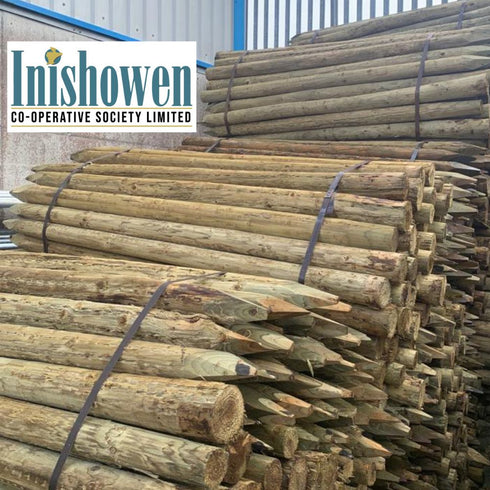 5Ft6" D3 Grade Post (Treated) (100 per Bale)
