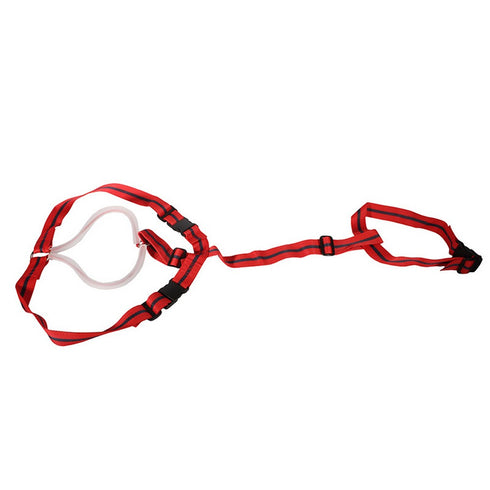 PROLAPSE BEARING HARNESS C/W TUBE (*)