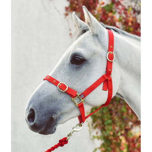 NYLON HEADCOLLAR FULL/RED