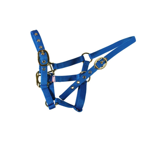NYLON HEADCOLLAR FOAL/ROYAL