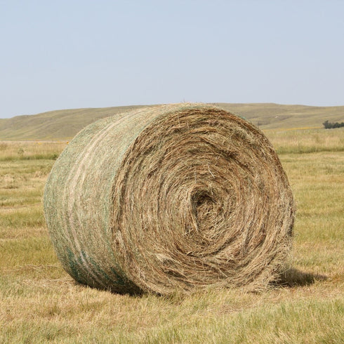 Hay Round Bale (4 X 4) Wexford