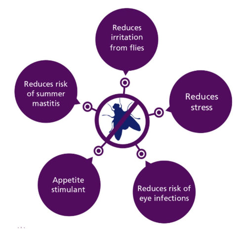 18kg Headstart Garlic Summer Lick (inform )