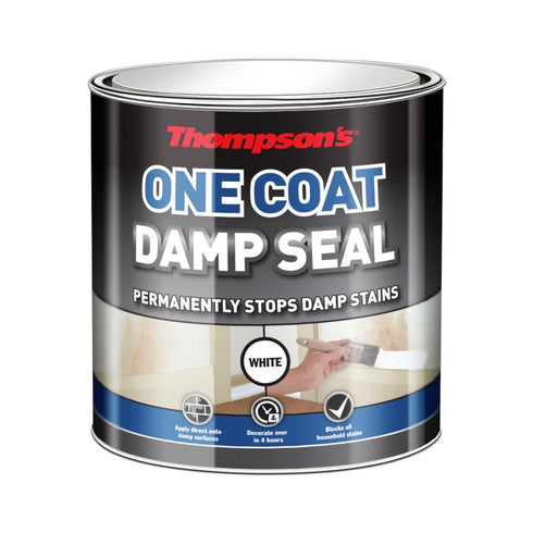 THOMPSONS DAMP SEAL 250ML
