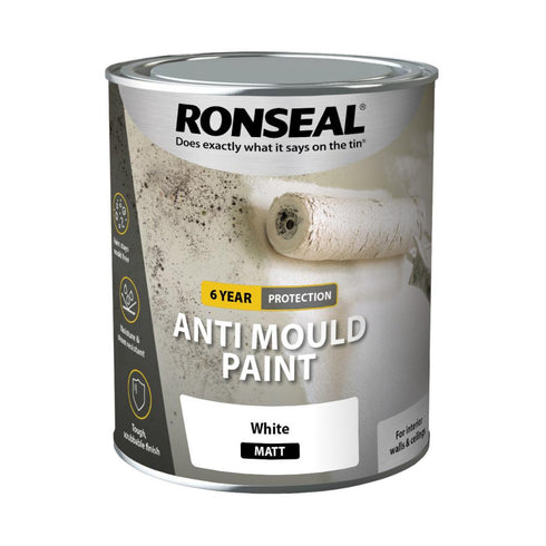 ANTI MOULD PAINT MATT 750ML
